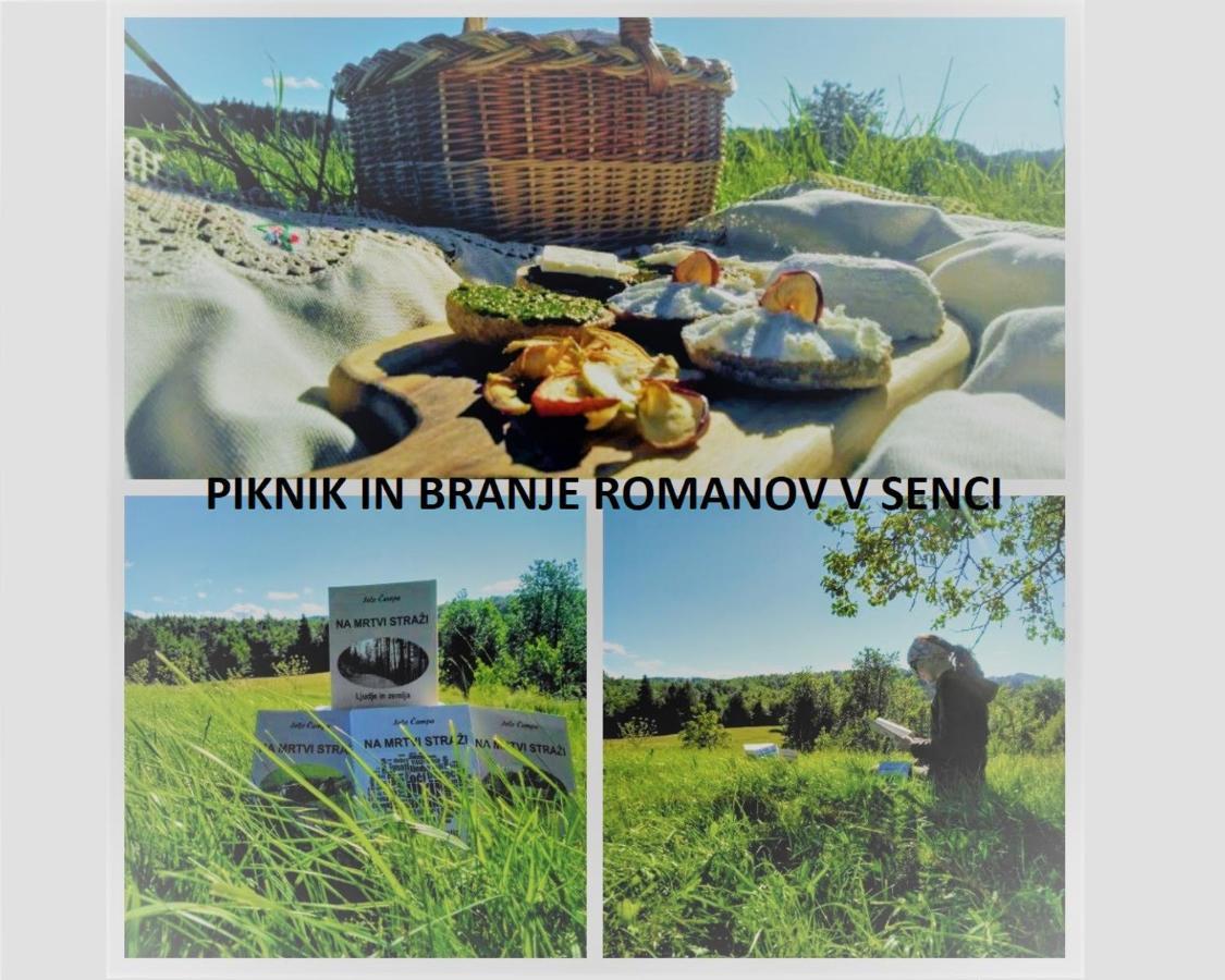 Отель Prenocisca Miklavcic Нова-Вас Экстерьер фото
