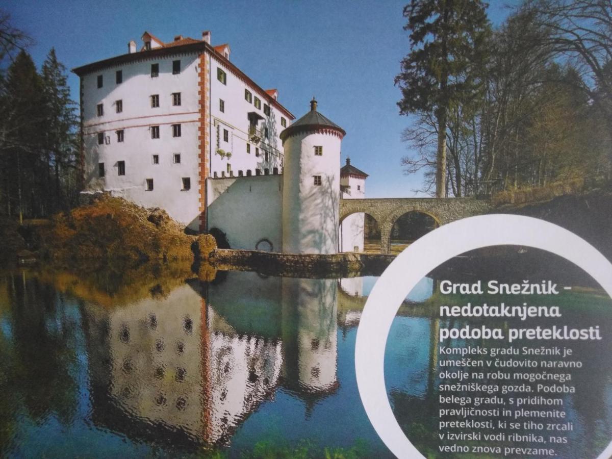 Отель Prenocisca Miklavcic Нова-Вас Экстерьер фото